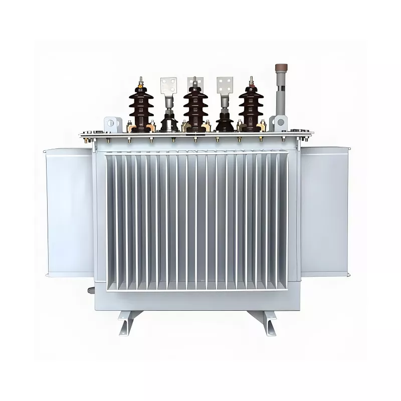 100KVA 20KV Üç Fazlı Yağlı Transformatör