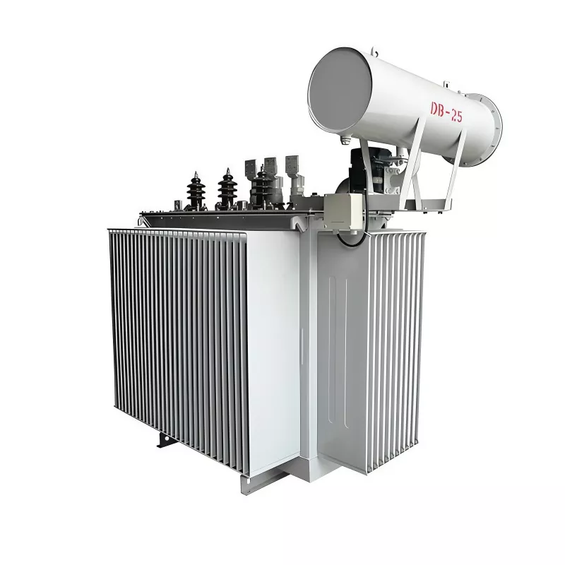 800KVA 35KV Üç Fazlı Yağlı Dağıtım Trafosu